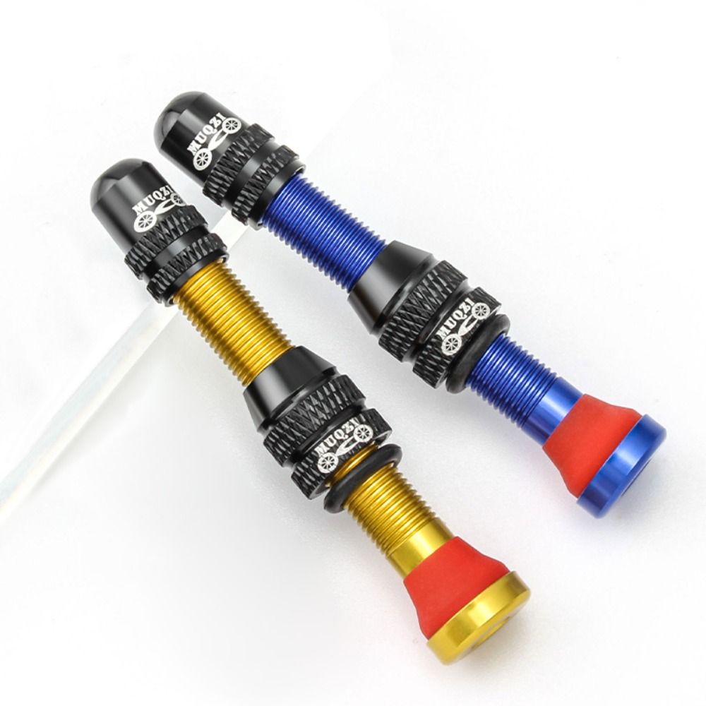 2PCS Durable 40/60mm Bike Schr - đánh giá và giá Spoke Nipple Brass