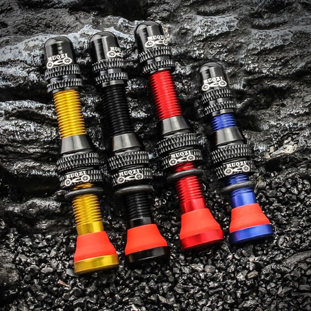 2PCS Durable 40/60mm Bike Schr - đánh giá và giá Spoke Nipple Brass
